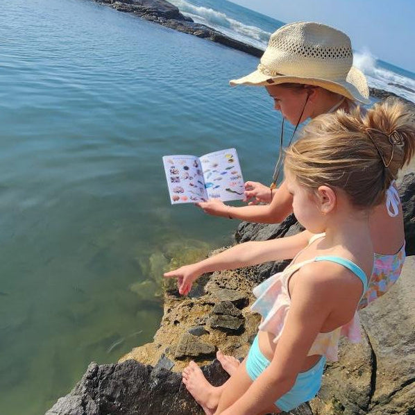 Marine Field Guide for Wild Kids (A5)