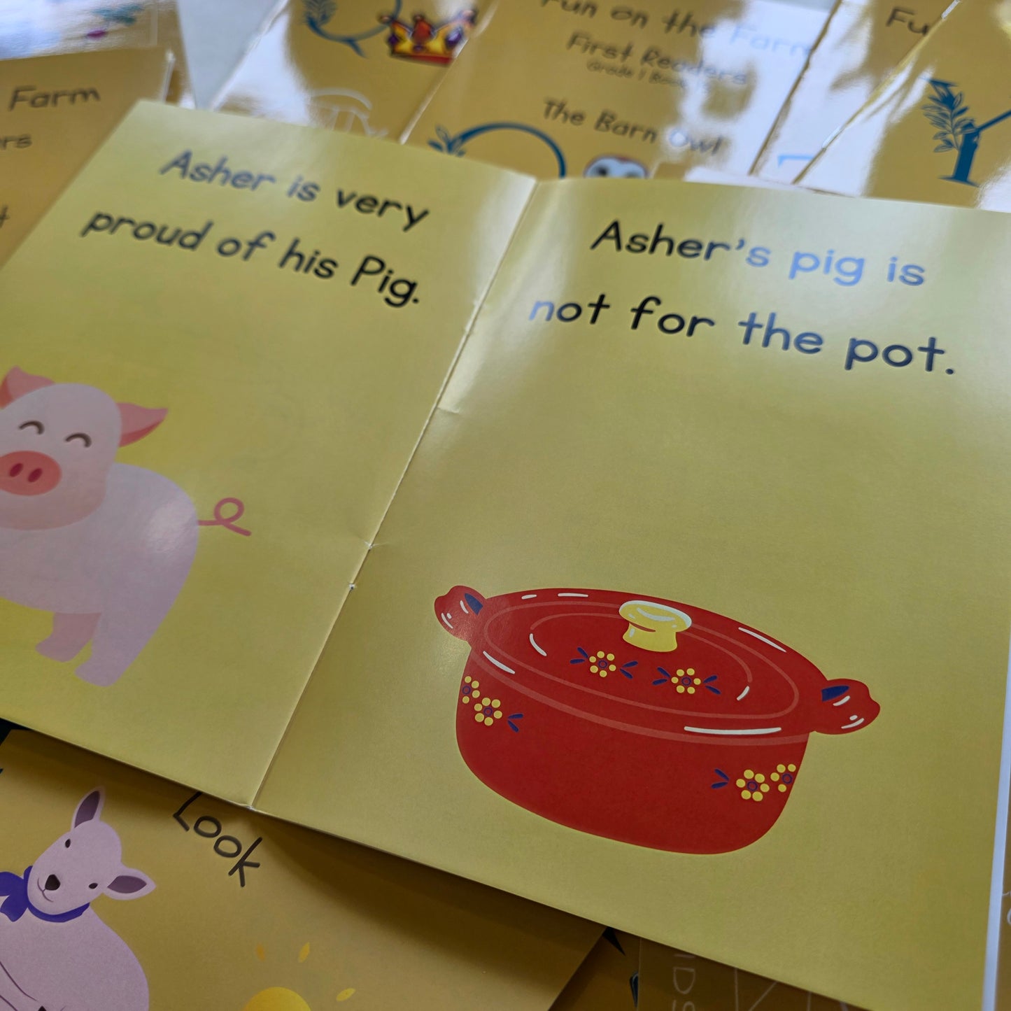 Fun on the Farm Little Readers for Grade 1 Learners (26 Book Set) (A5)