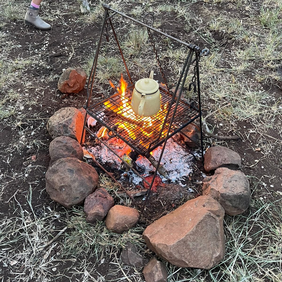 Asher's Survival Guide for Wild Kids of South Africa (with a Map, Stickers and Handbook)