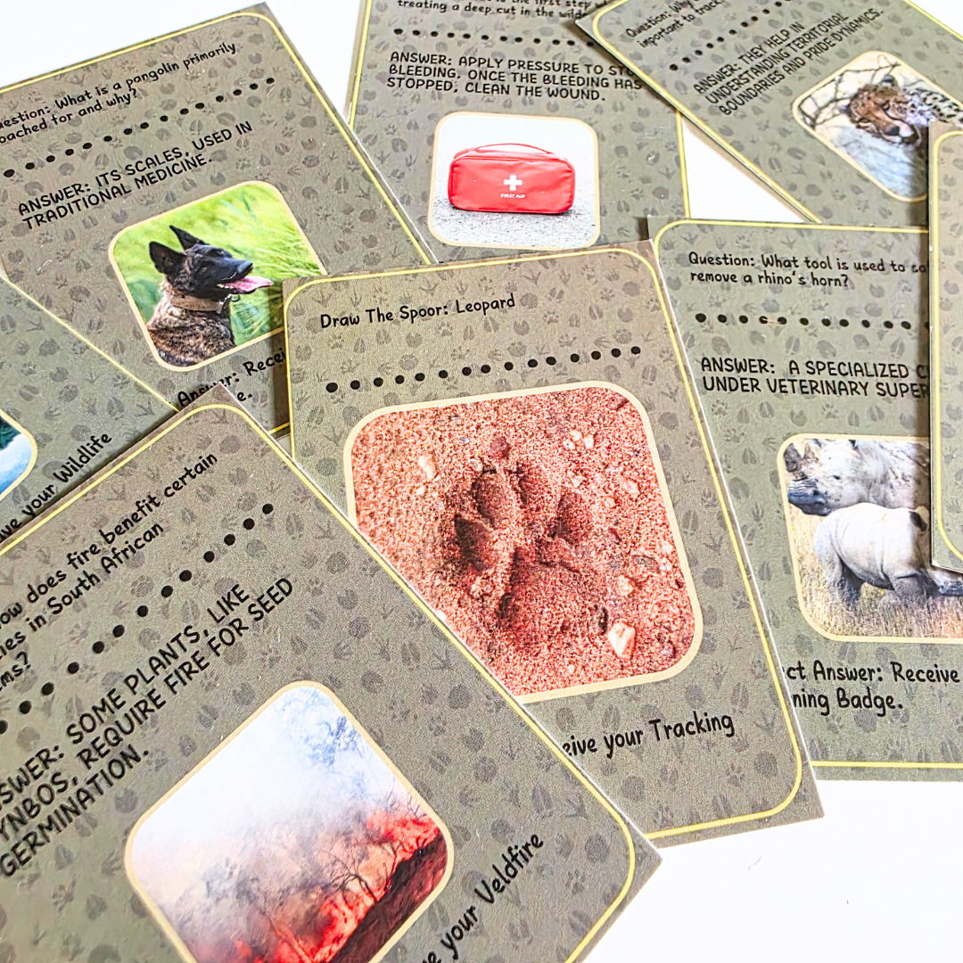 UMZILA: The Quest for Conservation - 100% South African Board Game