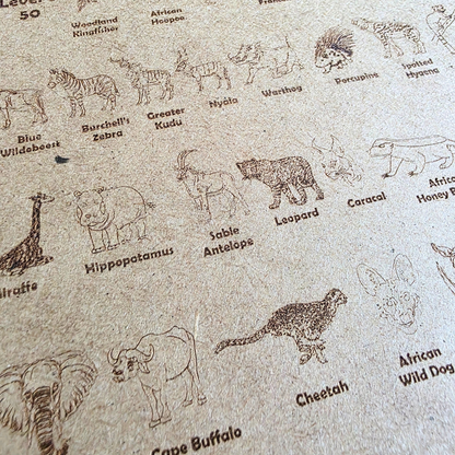 UMZILA: The Quest for Conservation - 100% South African Board Game