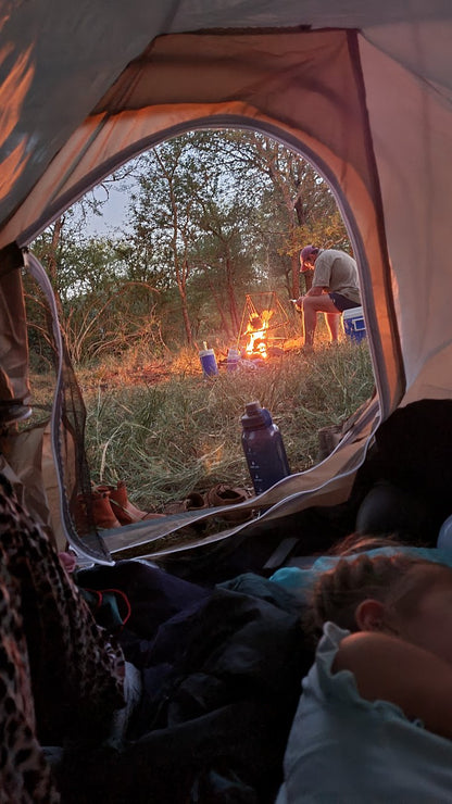 Asher's Survival Guide for Wild Kids of South Africa (with a Map, Stickers and Handbook)