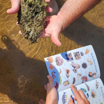 Marine Field Guide for Wild Kids (A5)