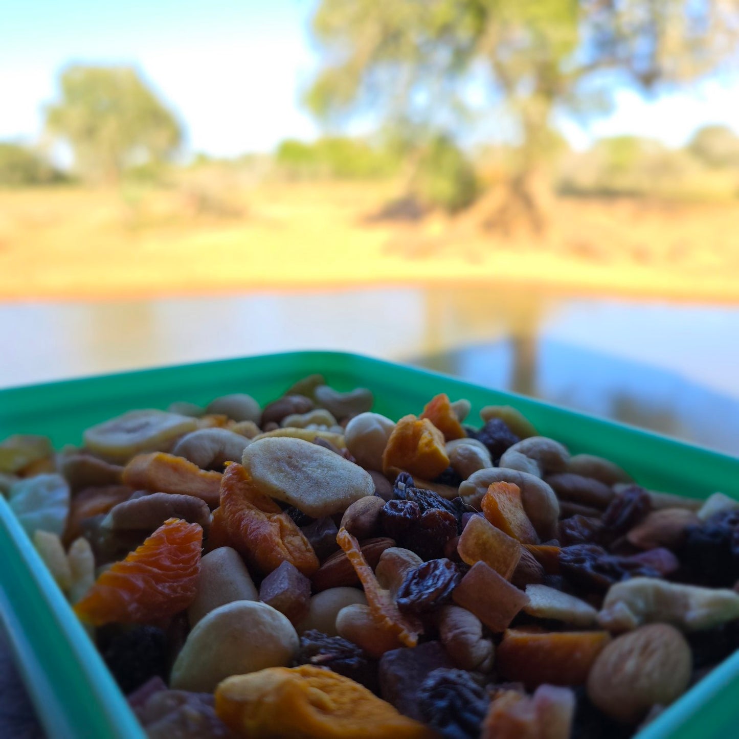 Asher's Adventure Camping Cookbook