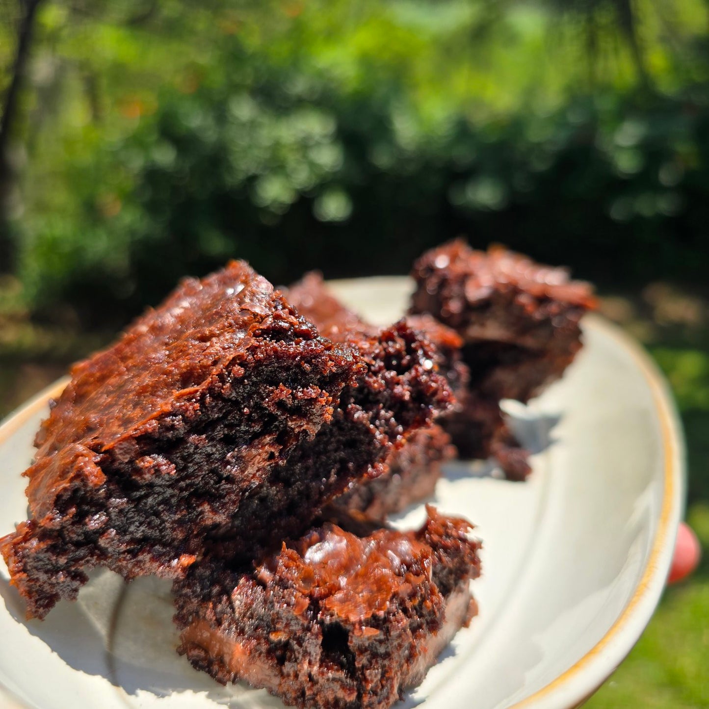 Asher's Adventure Camping Cookbook