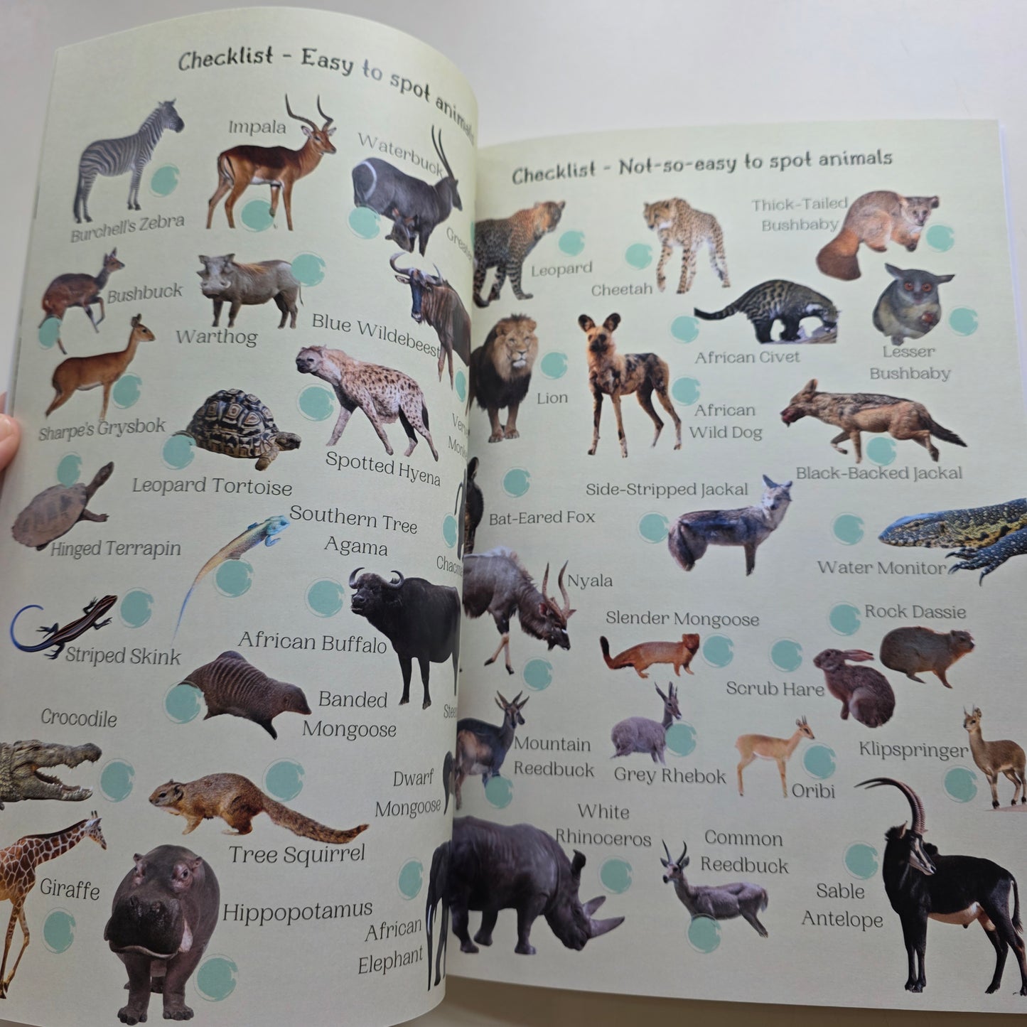 Kruger National Park Guide for Wild Kids with Stickers