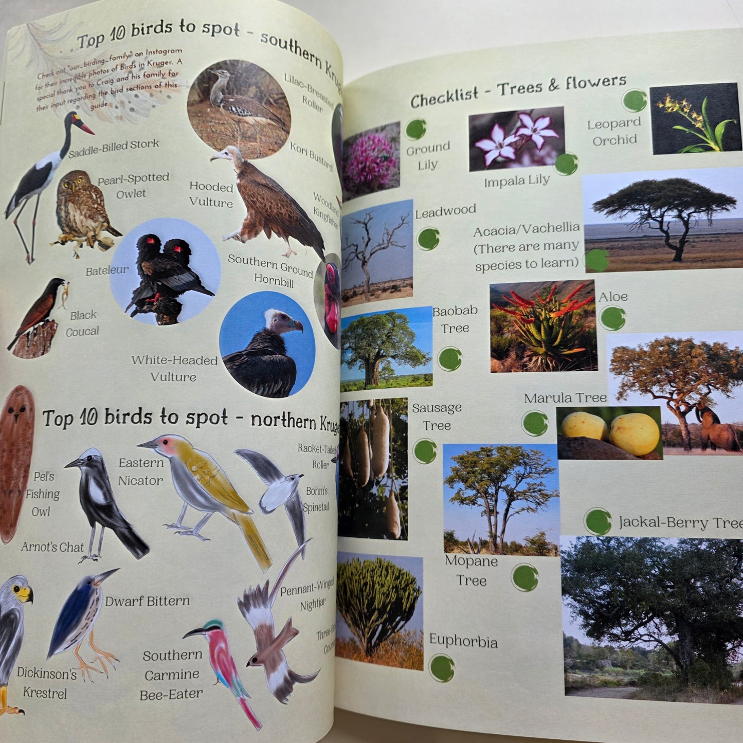 Kruger National Park Guide for Wild Kids with Stickers