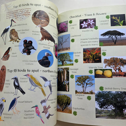 Kruger National Park Guide for Wild Kids with Stickers