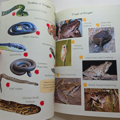 Kruger National Park Guide for Wild Kids with Stickers
