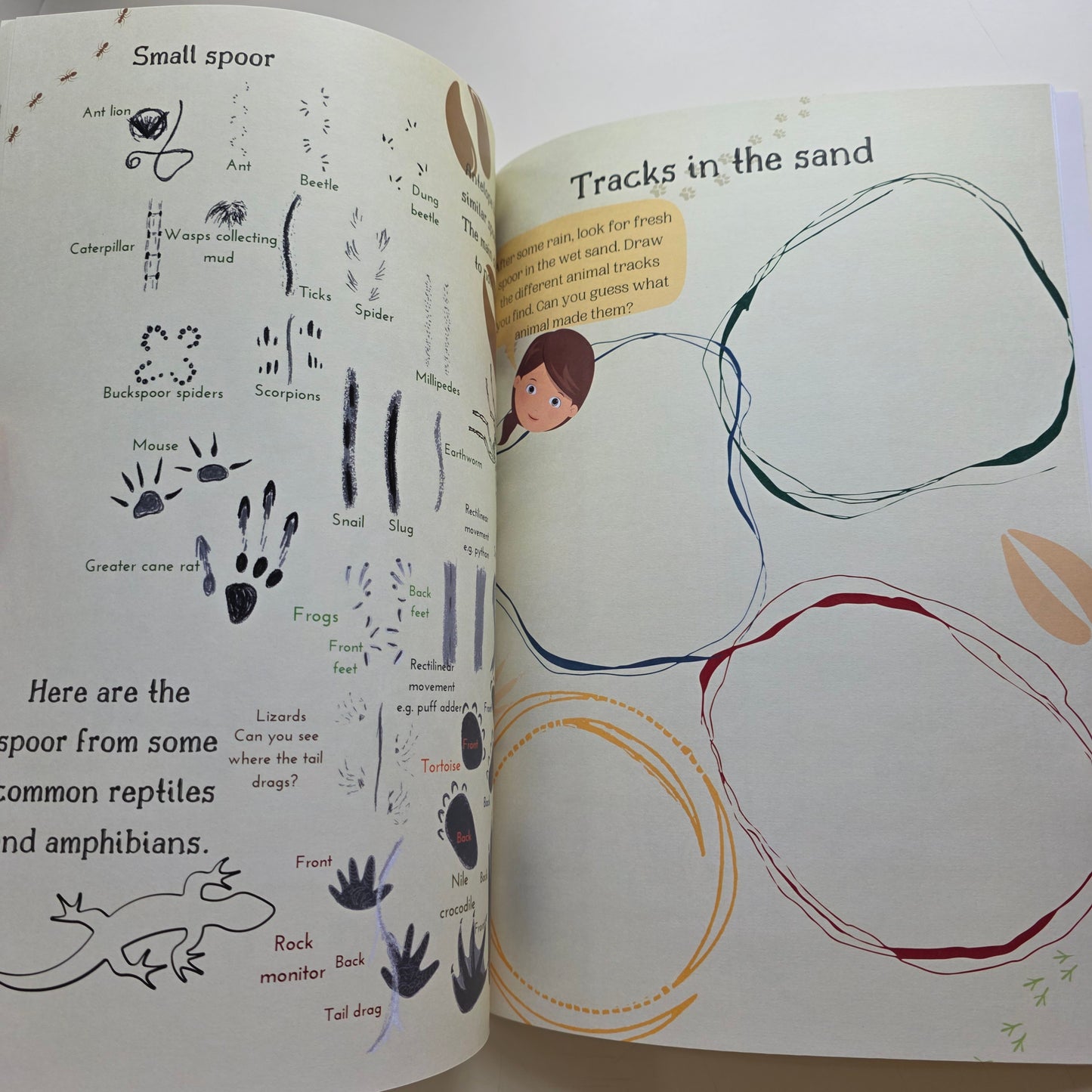 Kruger National Park Guide for Wild Kids with Stickers