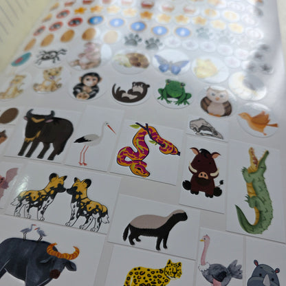 Kruger National Park Guide for Wild Kids with Stickers
