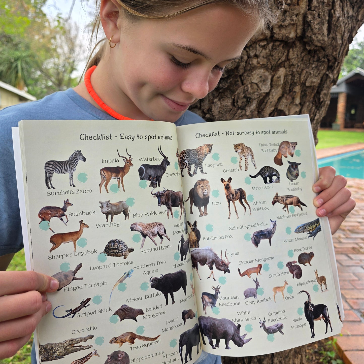 Kruger National Park Guide for Wild Kids with Stickers