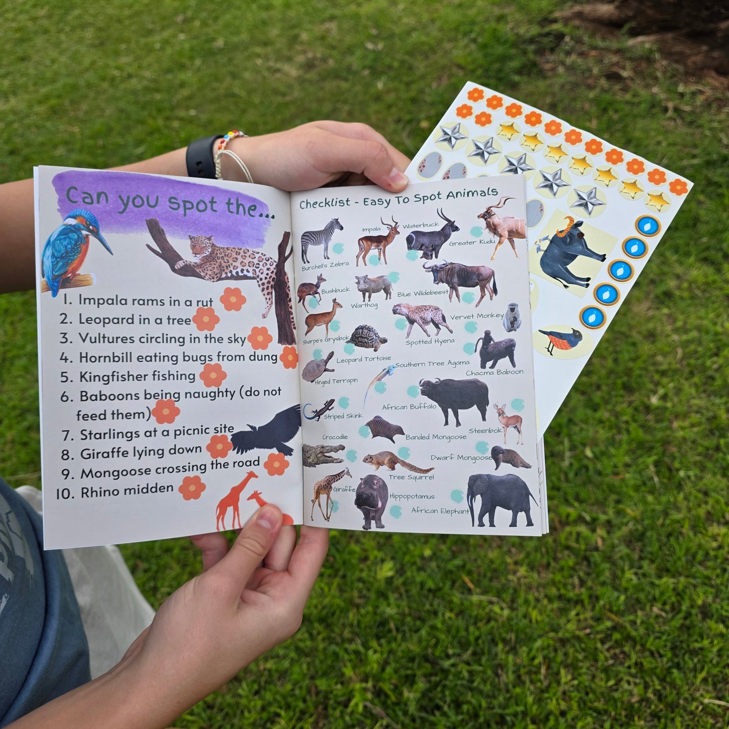 Bushveld Field Guide for Wild Kids with Stickers (A5)