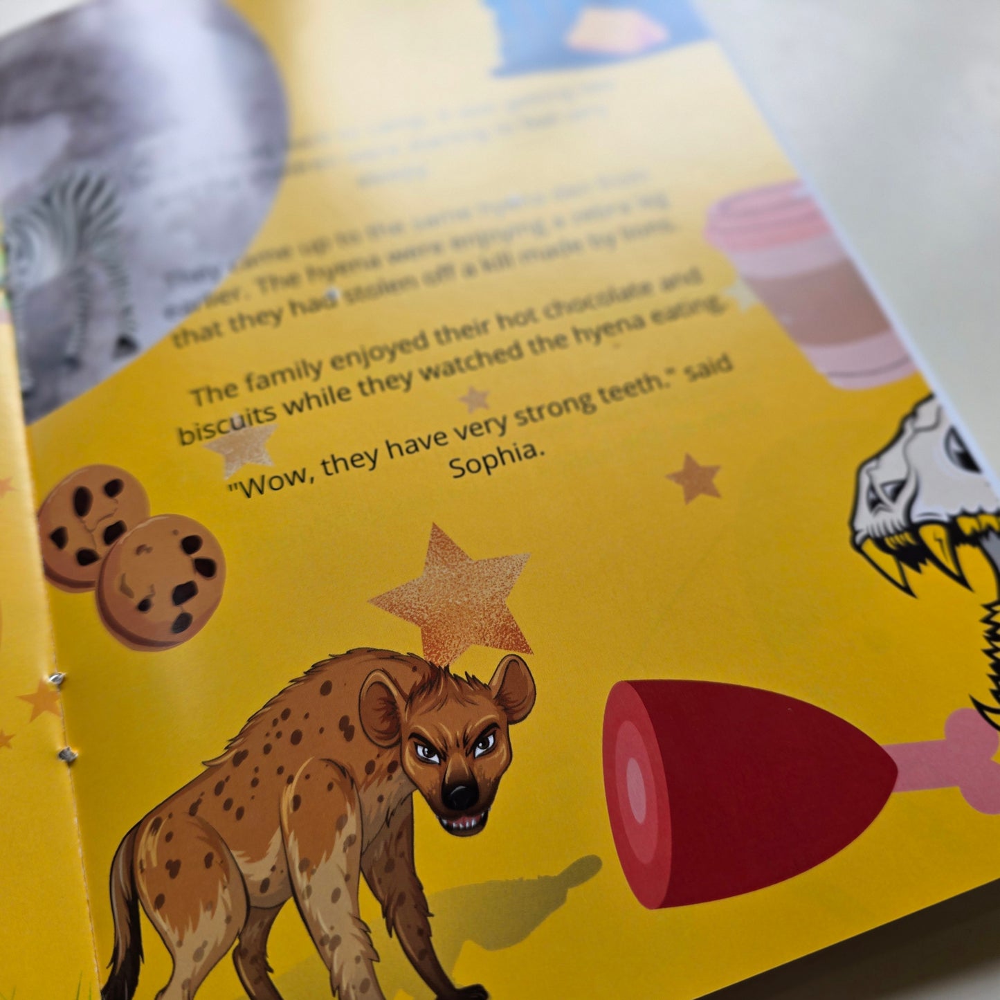 Sophia's Safari: The African Animal Alphabet Series (22 Book Set) (A5)