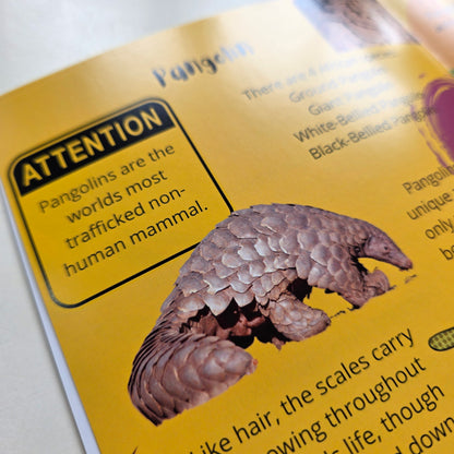 Sophia's Safari: The African Animal Alphabet Series (22 Book Set) (A5)