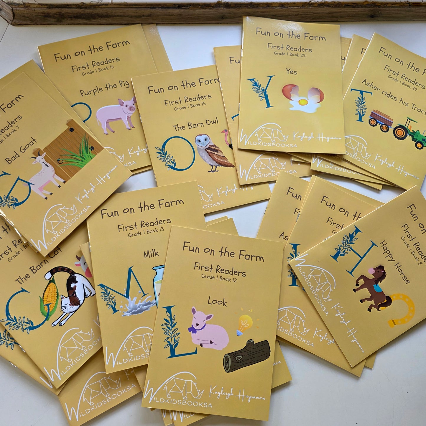 Fun on the Farm Little Readers for Grade 1 Learners (26 Book Set) (A5)