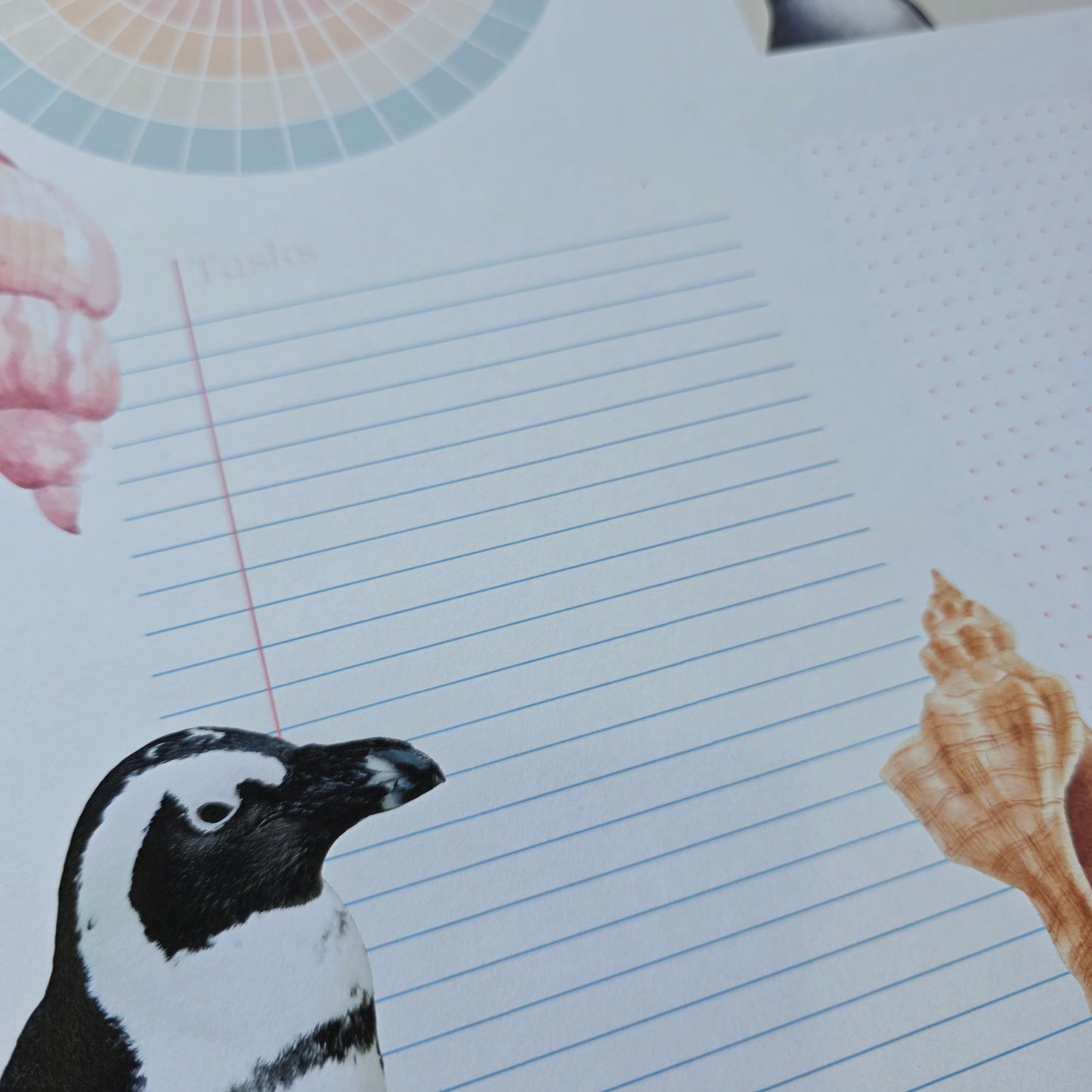 Plan My Way Deskpad Calendar: Endangered Species of South Africa