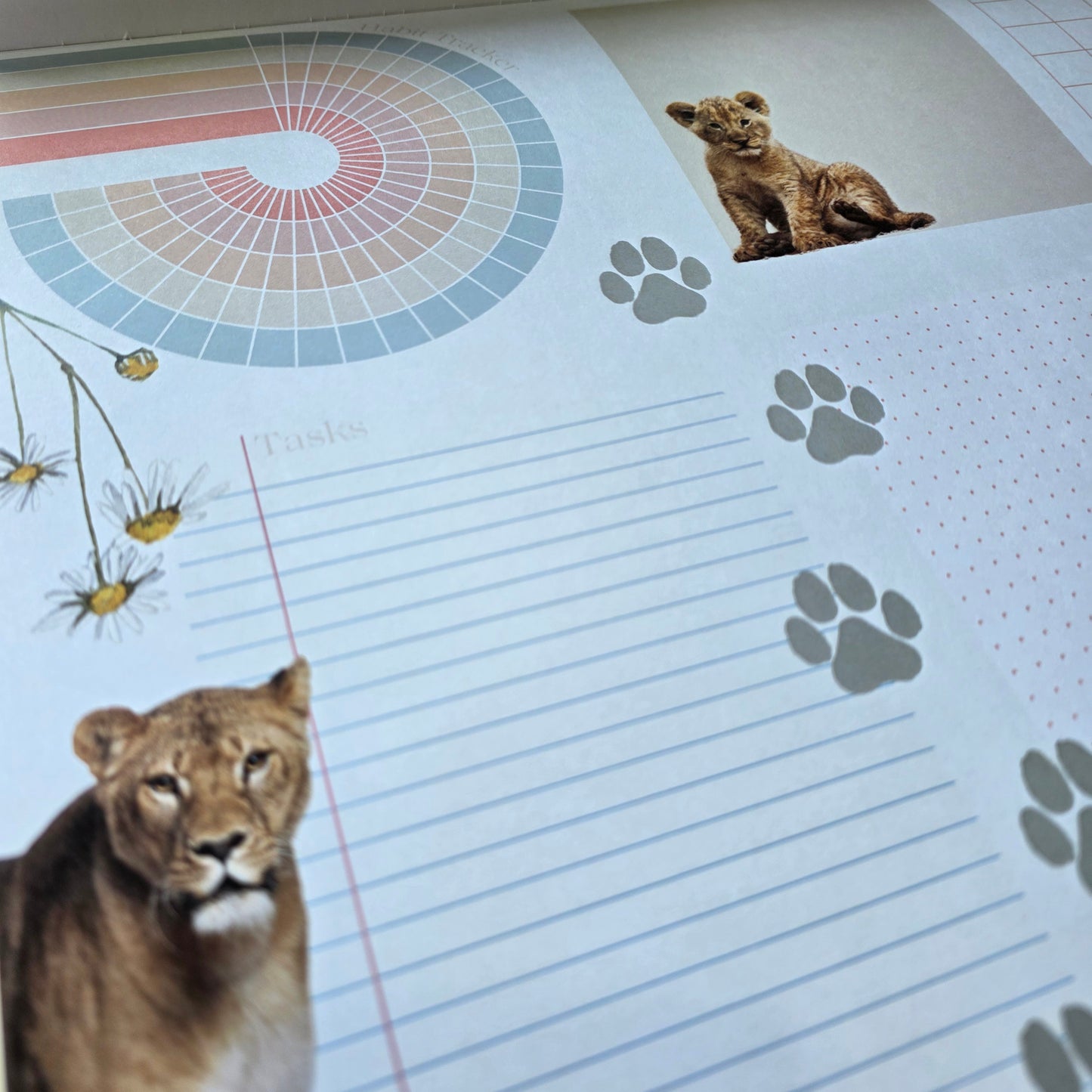 Plan My Way Deskpad Calendar: Endangered Species of South Africa