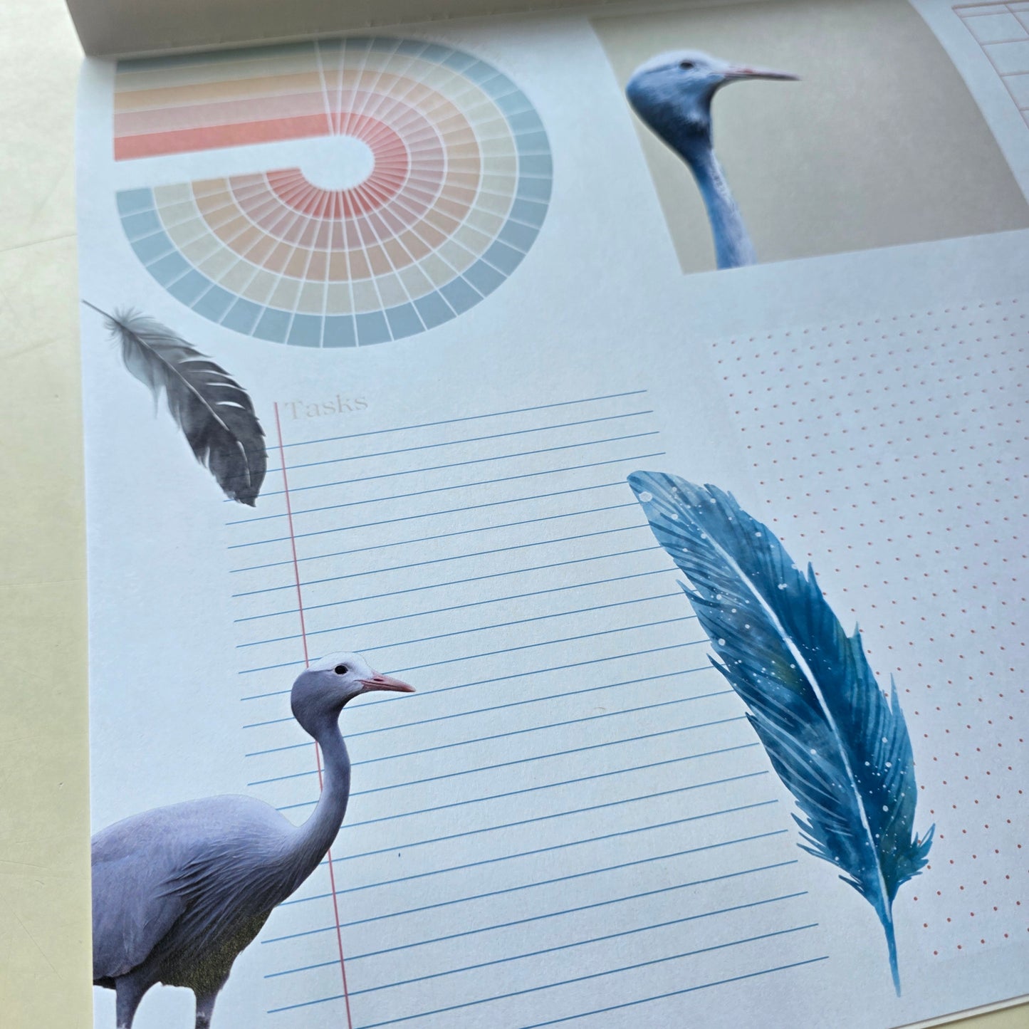 Plan My Way Deskpad Calendar: Endangered Species of South Africa