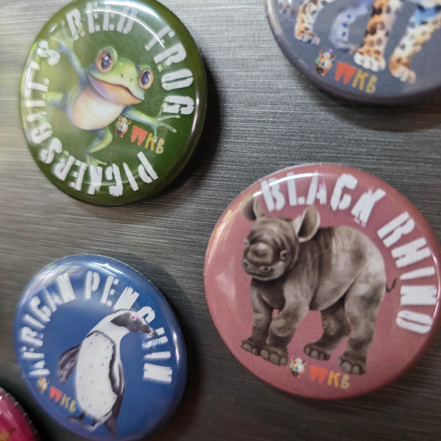 Endangered Species Button Magnets