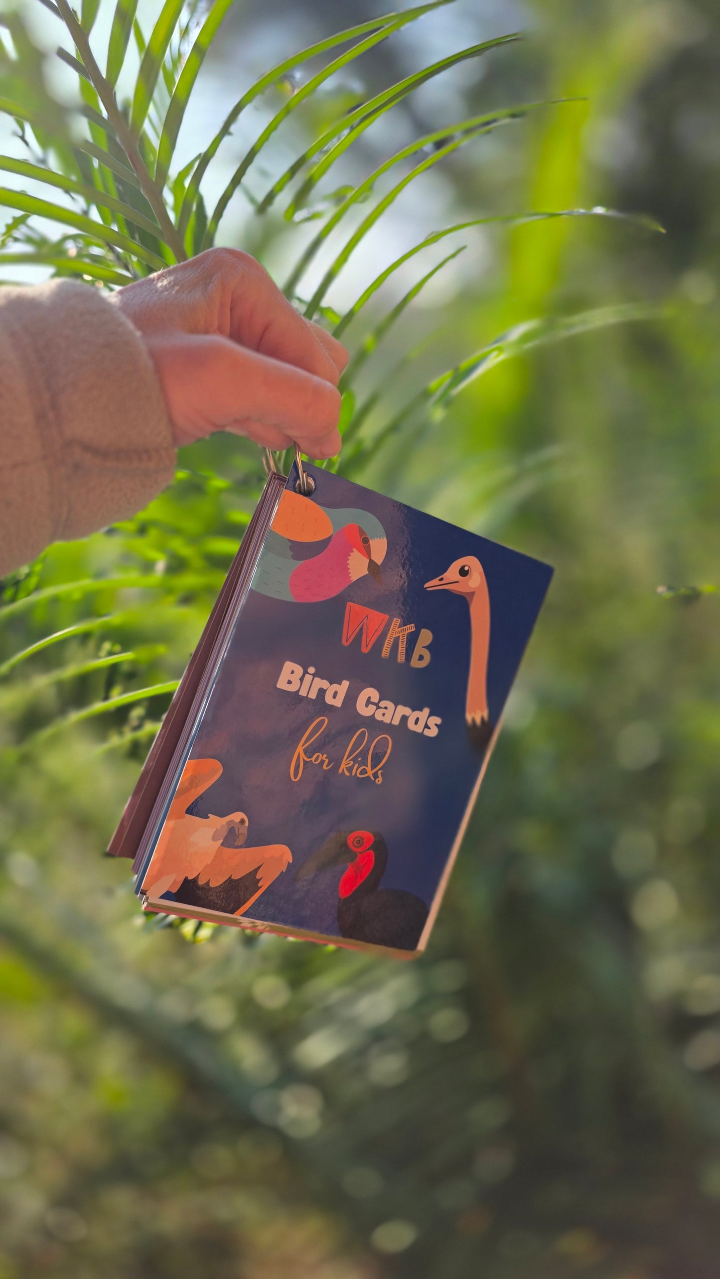 Bird Cards