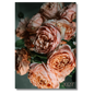 2027 Monthly-view Diary