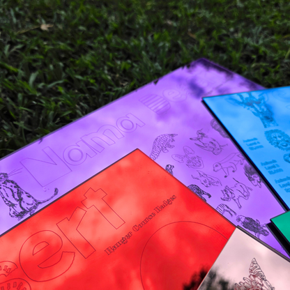 UMZILA: The Quest for Conservation - 100% South African Board Game