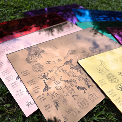 UMZILA: The Quest for Conservation - 100% South African Board Game