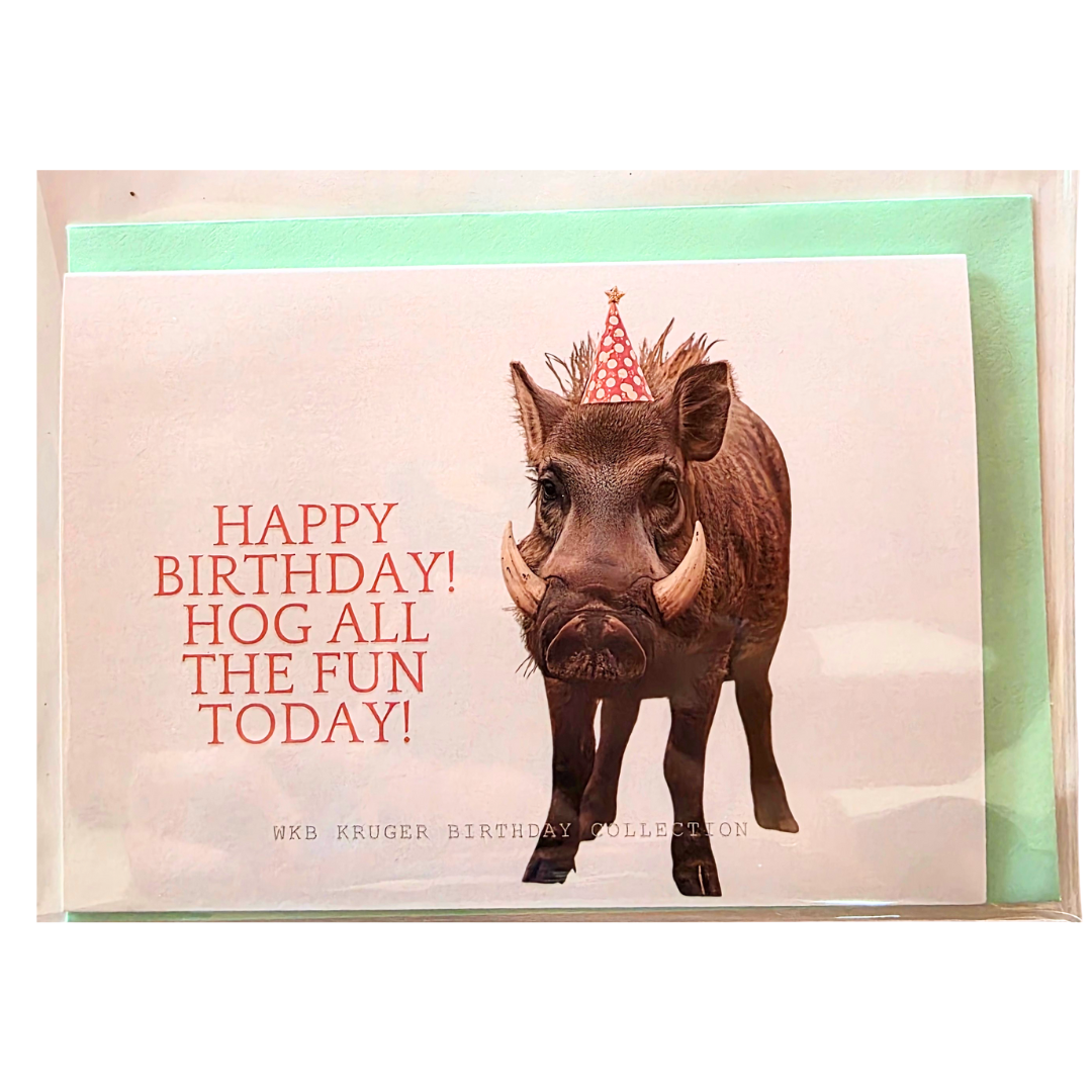 Comical Animal Birthday Cards with Colour Envelopes (Pack of 8)