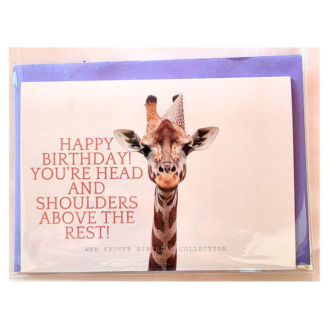 Comical Animal Birthday Cards with Colour Envelopes (Pack of 8)