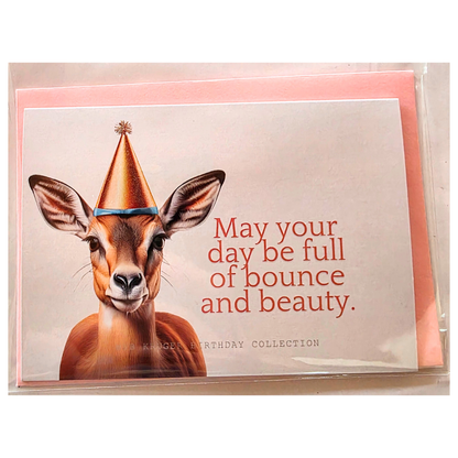 Comical Animal Birthday Cards with Colour Envelopes (Pack of 8)