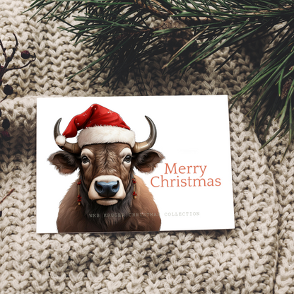 Comical Christmas Gift Cards with Envelopes