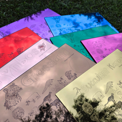 UMZILA: The Quest for Conservation - 100% South African Board Game