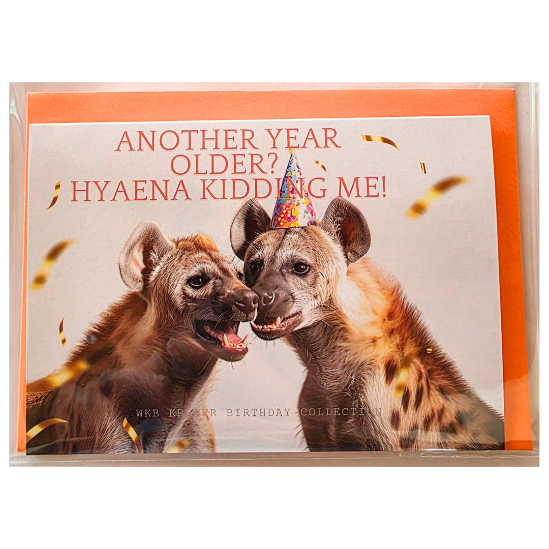 Comical Animal Birthday Cards with Colour Envelopes (Pack of 8)