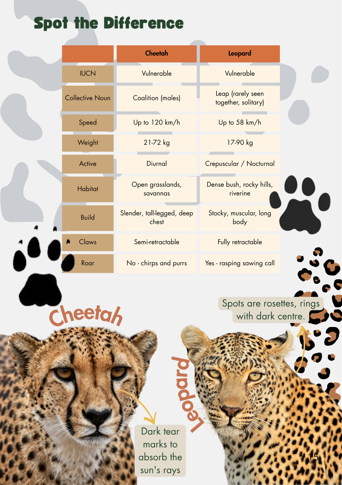 Kruger National Park Guide for Wild Kids 4th Edition (A5) with stickers