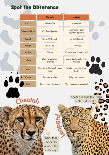 Kruger National Park Guide for Wild Kids 4th Edition (A5) with stickers