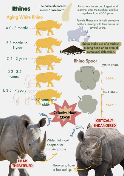 Kruger National Park Guide for Wild Kids 4th Edition (A5) with stickers