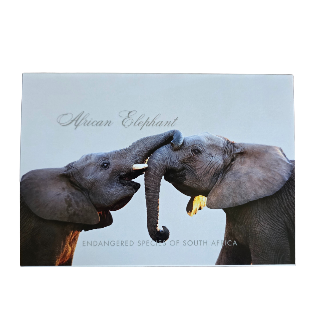 Endangered Species Gift Cards with Envelopes