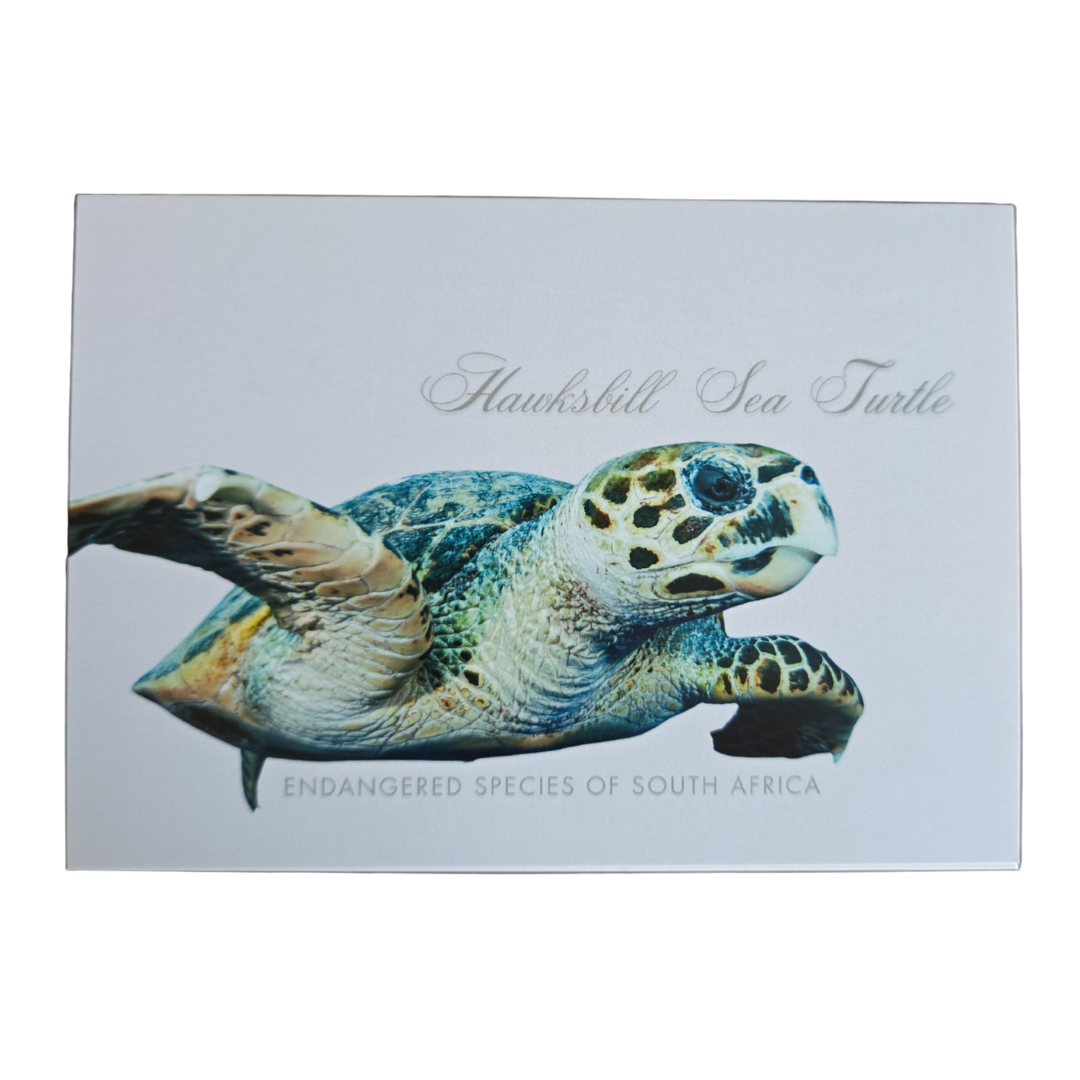 Endangered Species Gift Cards with Envelopes