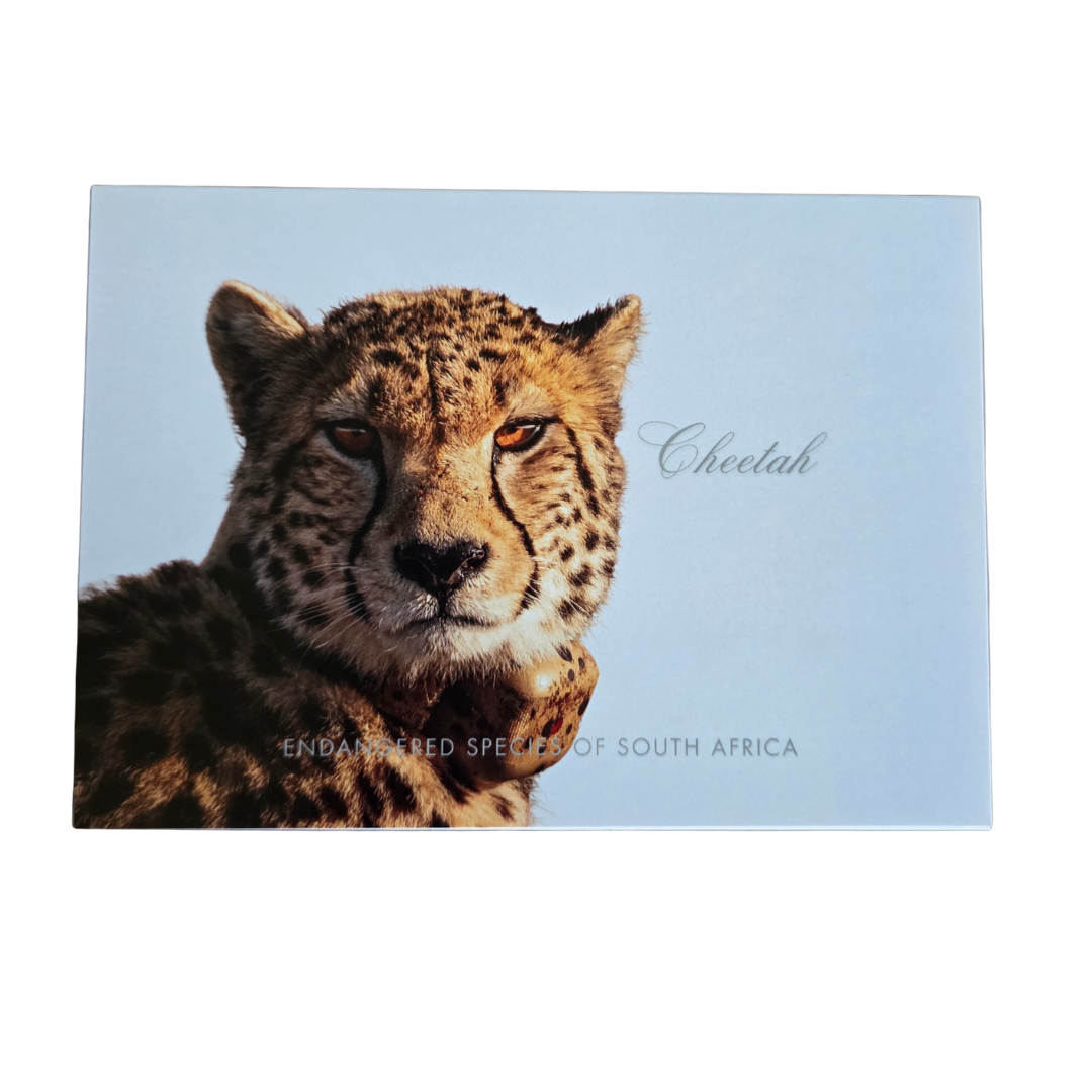 Endangered Species Gift Cards with Envelopes
