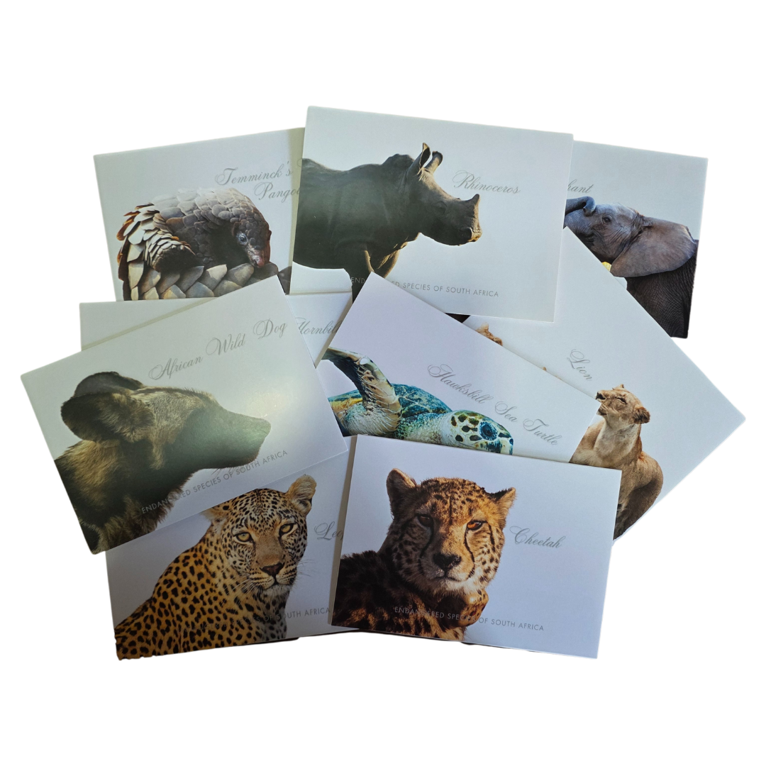 Endangered Species Gift Cards with Envelopes