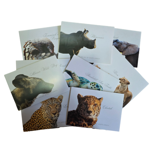 Endangered Species Gift Cards with Envelopes