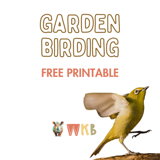 Garden Birding Beginner Guide for KwaZulu-Natal (Free PDF Download)