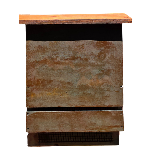 DIY KIDS KITS - BAT BOX