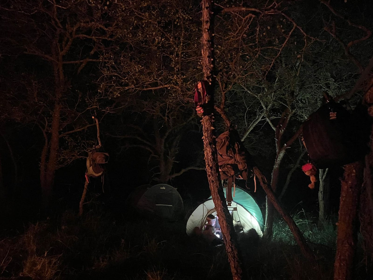 Asher's Survival Guide for Wild Kids of South Africa (with a Map, Stickers and Handbook)