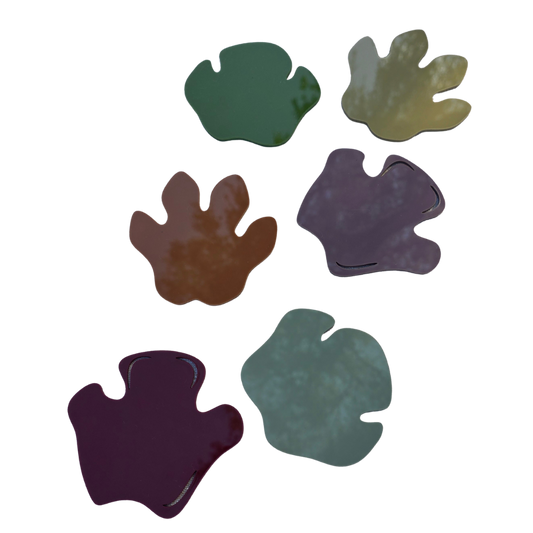 Acrylic Coasters (Black Rhino, White Rhino and Hippo Spoor) Set of 6 different colours