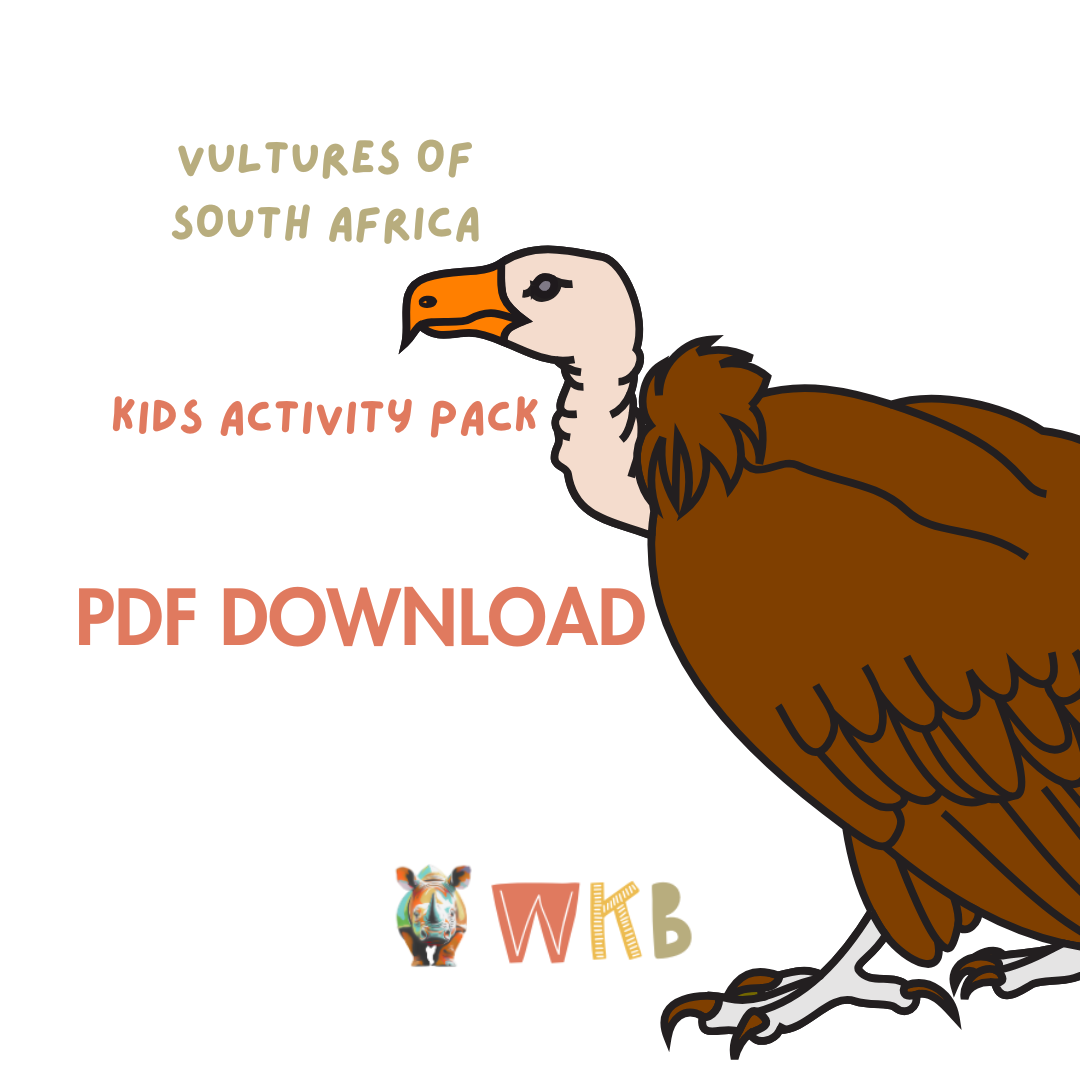 Vultures of South Africa Activity Kit (PDF Download)