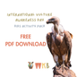 Vultures of South Africa Activity Pack (Free PDF Download)
