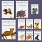 Conservation Series (10 Book Set) A6 Mini Books