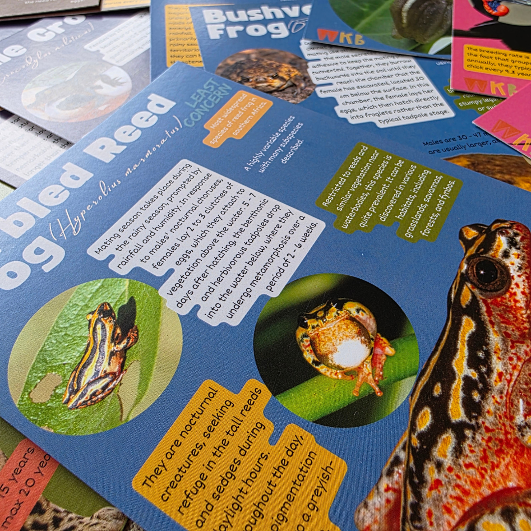 Conservation Cards (Set 1, 30 cards)